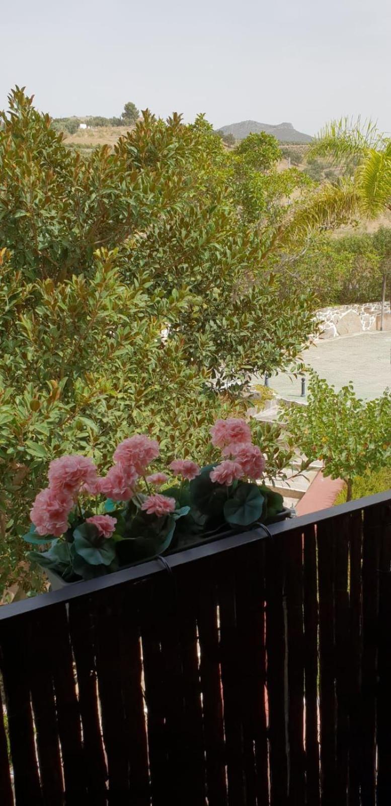 Hotel Cortijo De Salia Alcaucín Rom bilde